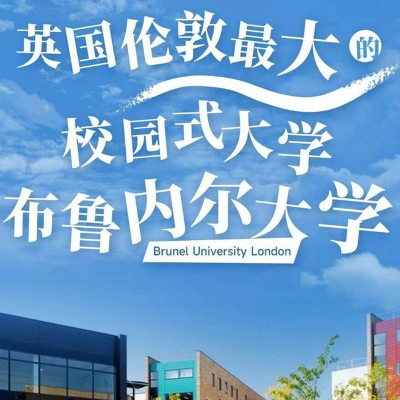 布鲁内尔大学